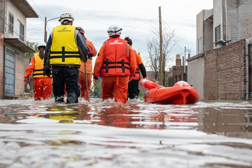 Disaster Resilience
